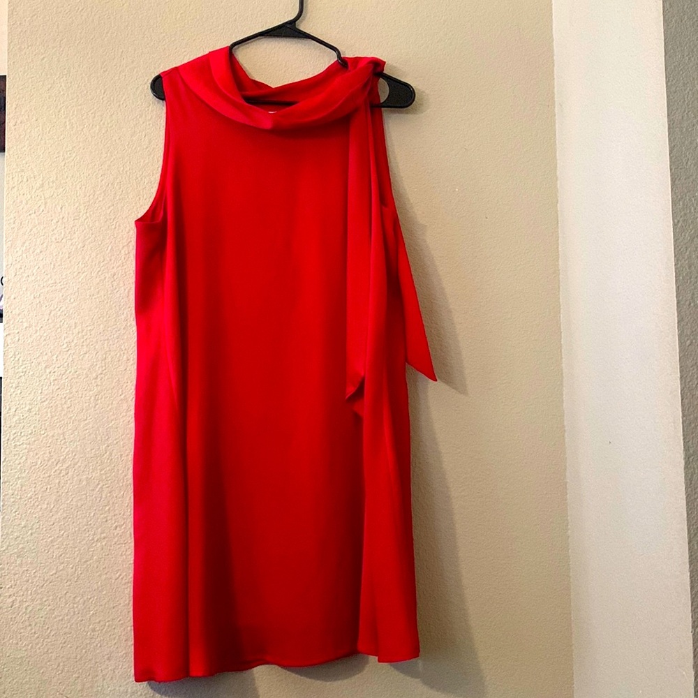 Red Dress by Robbie Bee